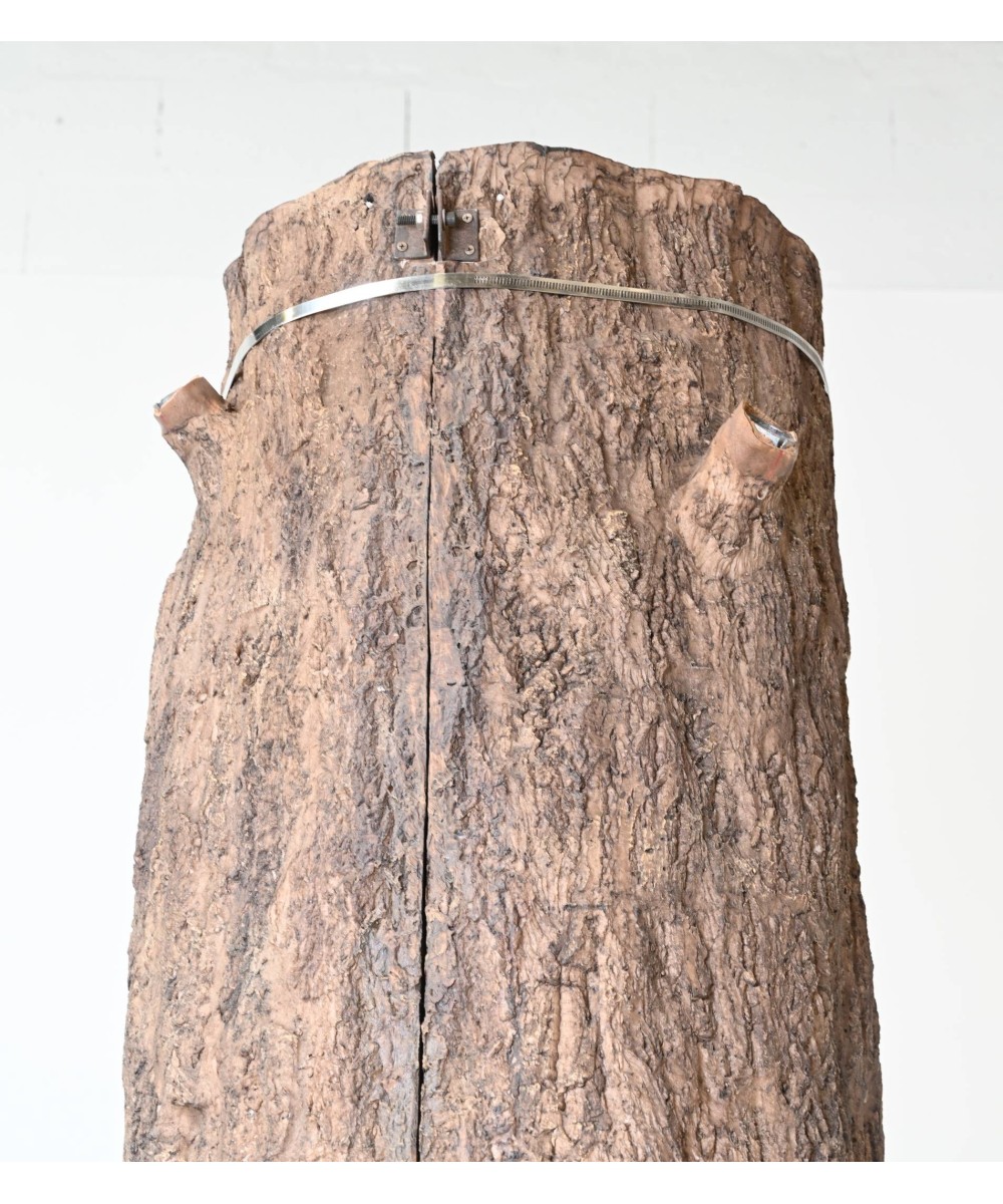 Kunstlik hiiglaslik fikuss tüvi 2 osa (postikate)
