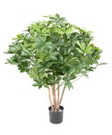 Kunstlik Schefflera põõsas plast UV