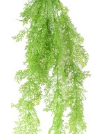 Artificial ASPARAGUS MINI HANGING BUSH