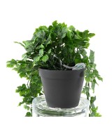Artificial VINE HANGING BUSH 68 POT