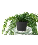 Kunstlik ripppõõsas Lycopodium 70