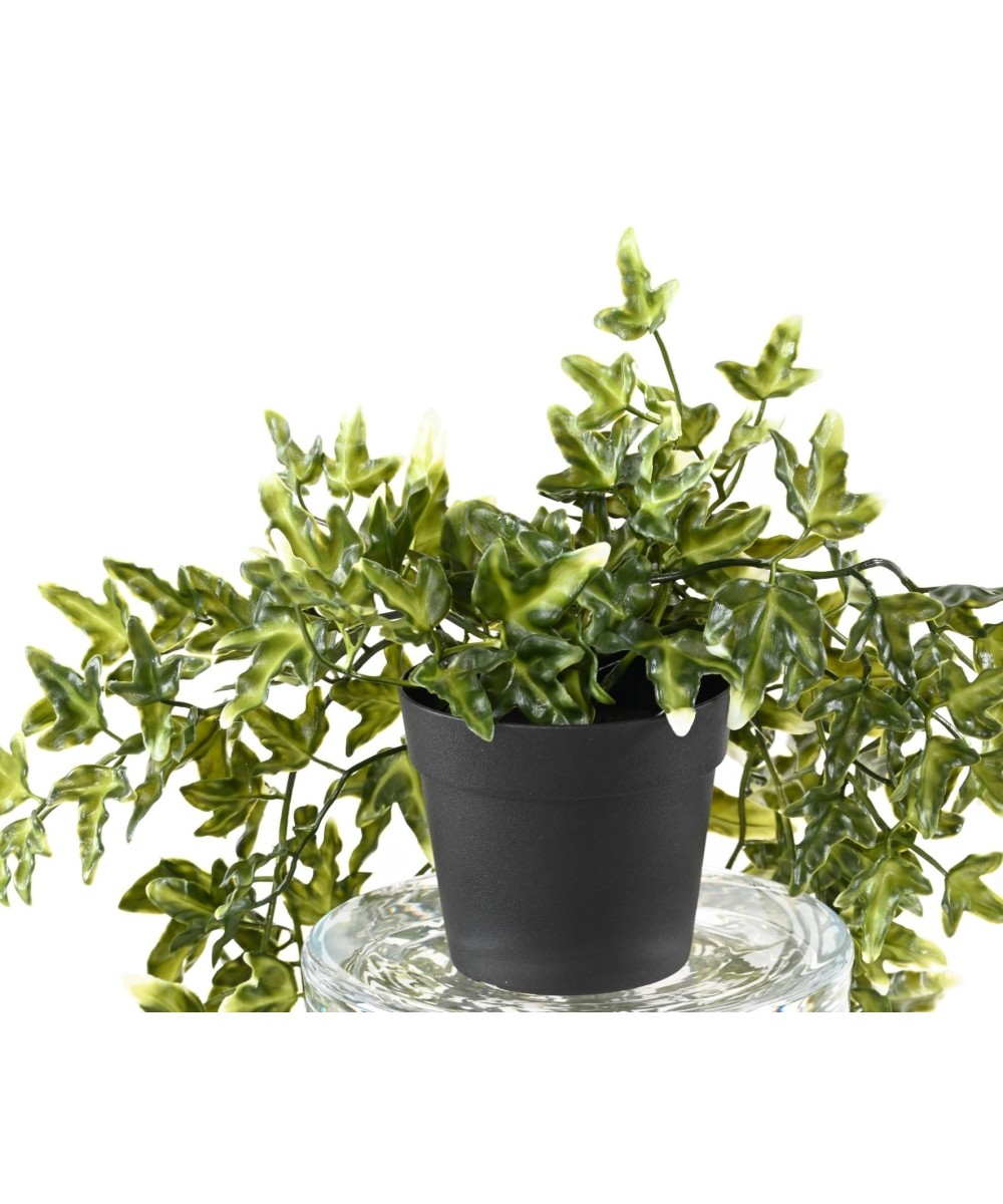 Kunstluuderohi 70 potis
