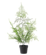 Kunstlik SPARGEL 50 potis