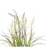 Artificial FLOWERING ACORUS POT