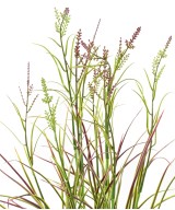 Artificial FLOWERING ACORUS POT