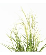 Artificial FLOWERING ACORUS POT