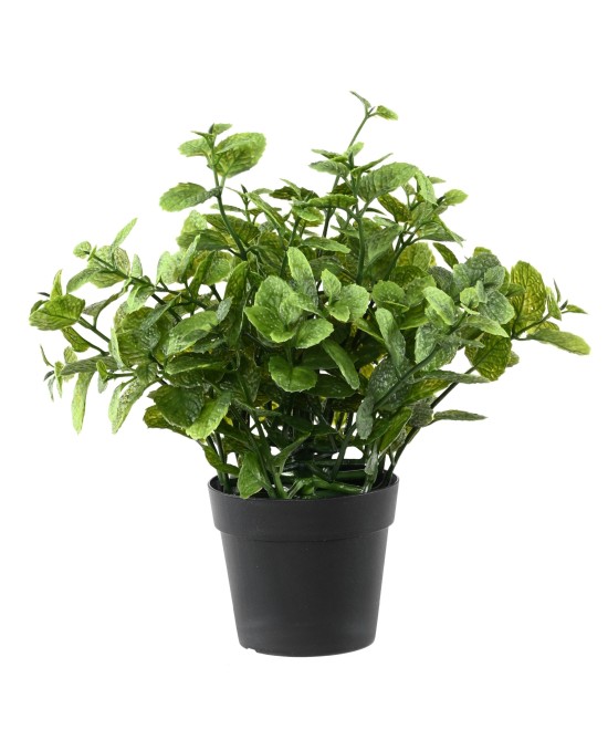 Kunstlik MINT 25 potis