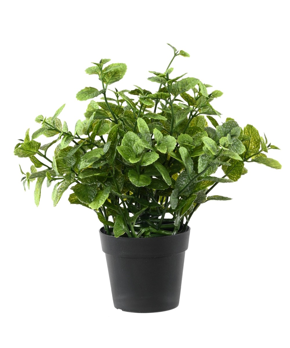 Artificial MINT 25 POT