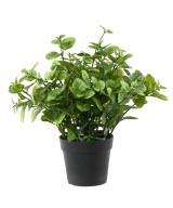 Artificial MINT 25 POT