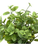 Kunstlik MINT 25 potis