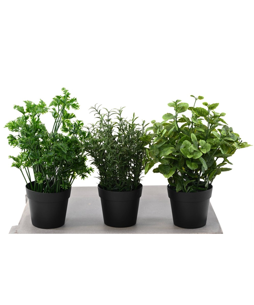 Kunstlik MINT 25 potis