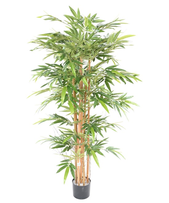 Artificial BAMBOO ECO 3 170 CM