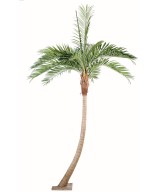 Artificial COCONUT TREE CURVED NEW