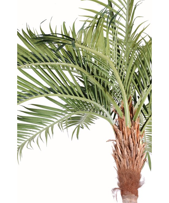 Artificial COCONUT TREE CURVED NEW