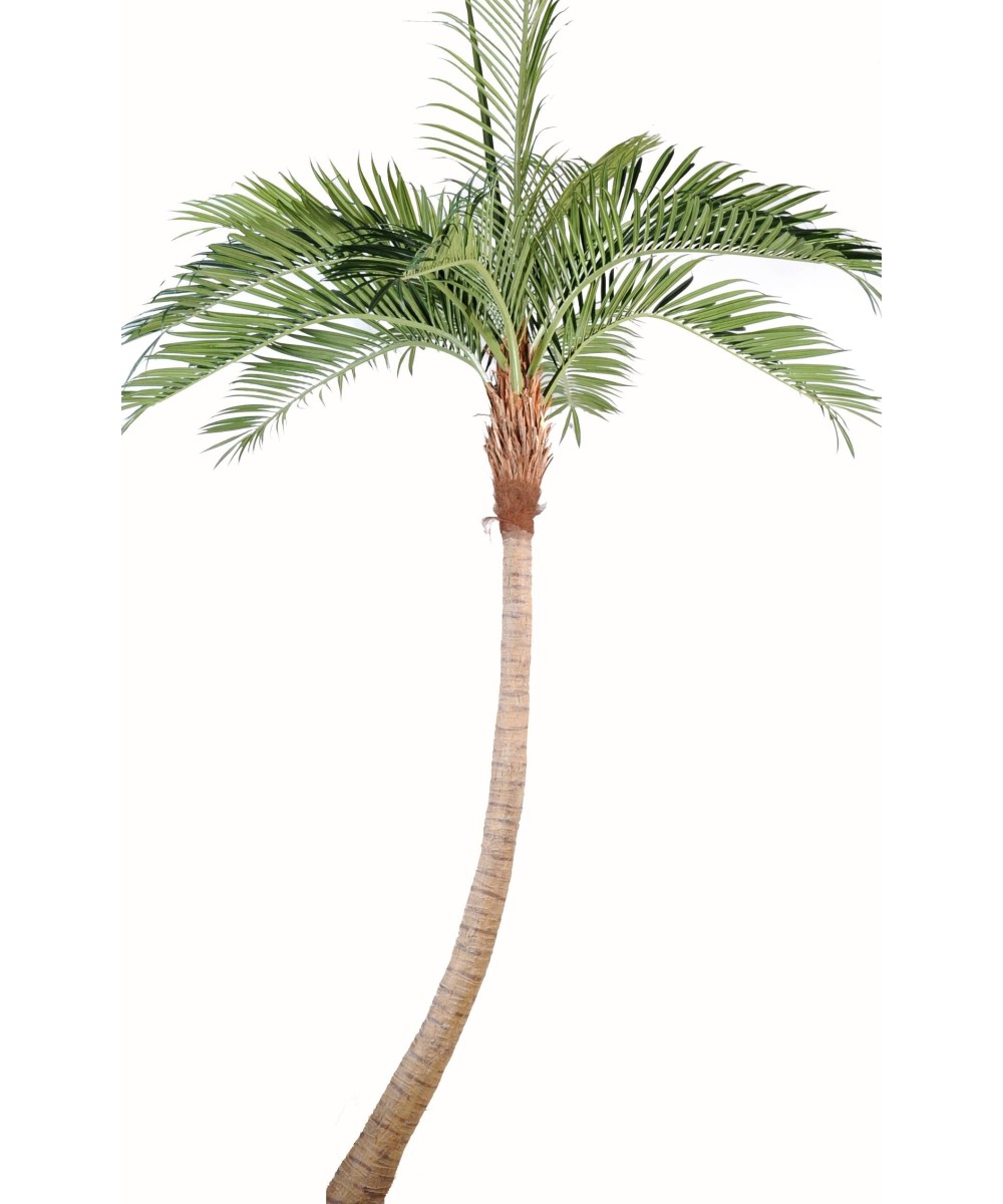 Artificial COCONUT TREE CURVED NEW