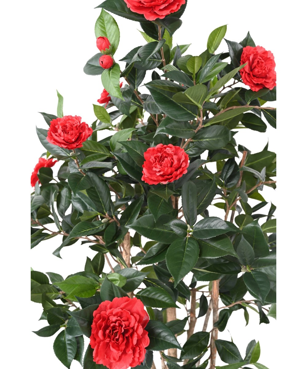 Kunstlik CAMELLIA JAPONICA DOUBLE UUS