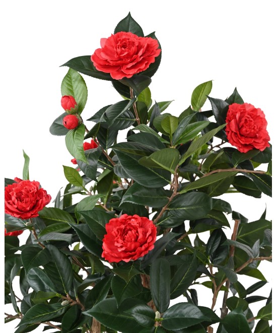 Artificial CAMELLIA JAPONICA DOUBLE NEW