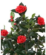 Artificial CAMELLIA JAPONICA DOUBLE NEW