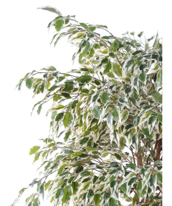Artificial Ficus CREEPERS SL