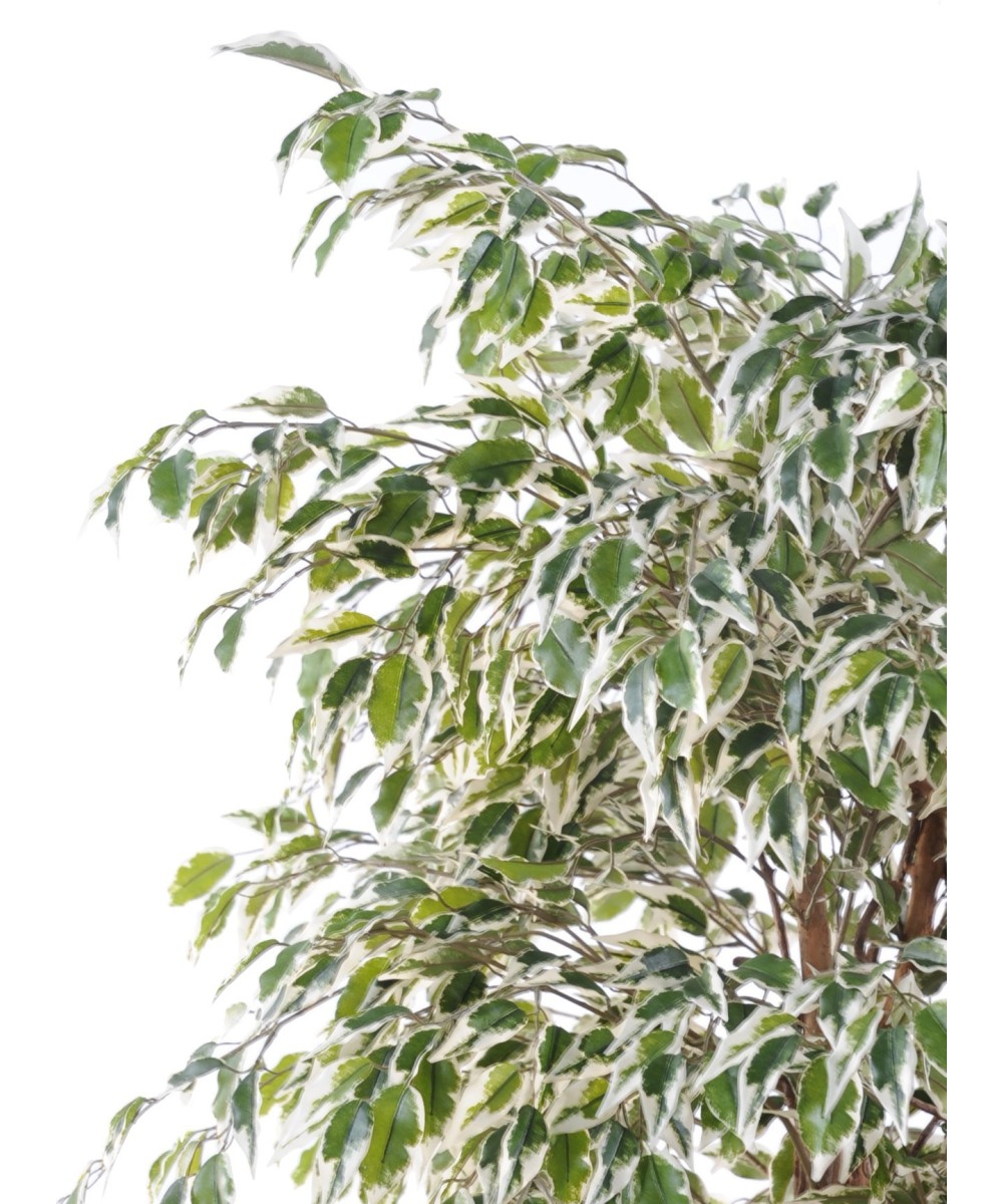 Artificial Ficus CREEPERS SL