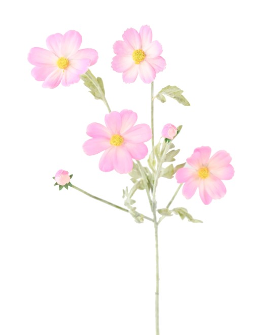 Kunstlik COSMOS 62