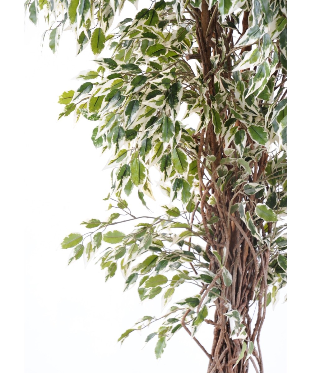 Artificial Ficus CREEPERS SL