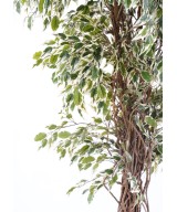 Artificial Ficus CREEPERS SL