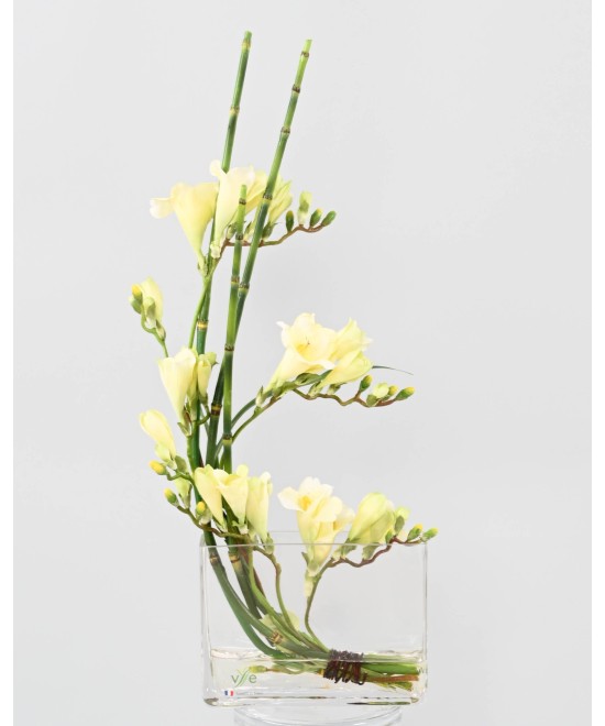 Kunstlik VALGE FREESIA KIMP