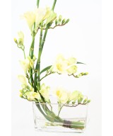 Kunstlik VALGE FREESIA KIMP
