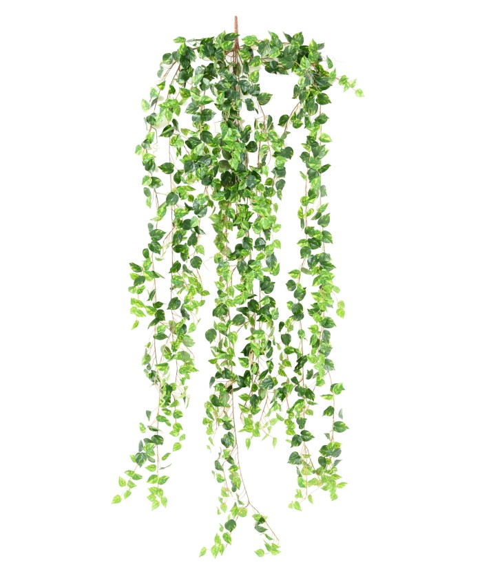 Kunstlikud KESKMISED POTHOS 200