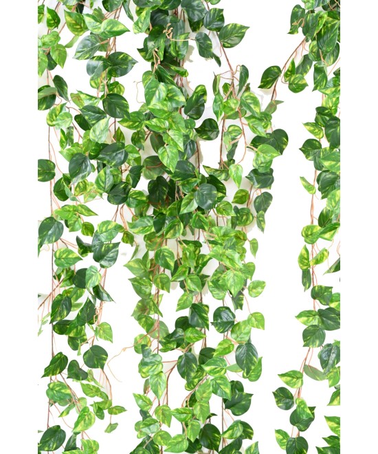 Kunstlikud KESKMISED POTHOS 200