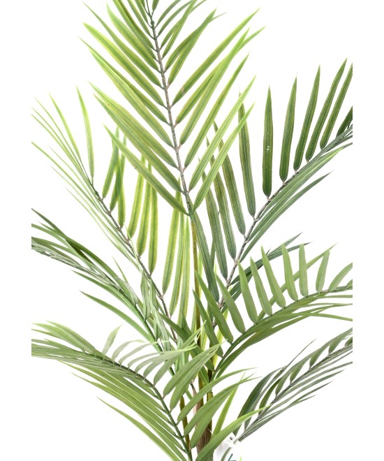 Artificial ARECA PLAST