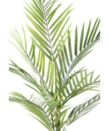 Artificial ARECA PLAST