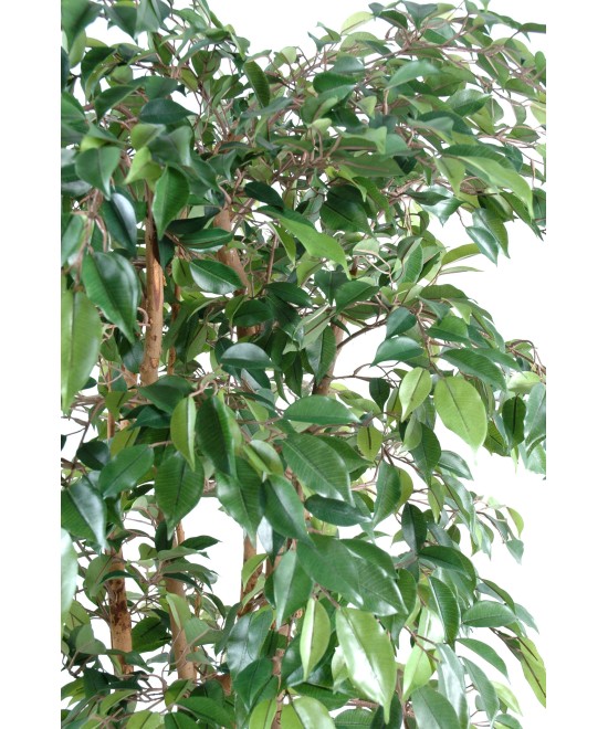 Artificial ficus NATASJA MULTITREE