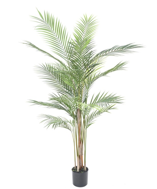 Artificial ARECA PLAST