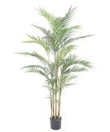 Artificial ARECA PLAST
