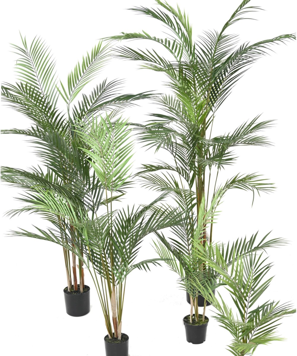 Artificial ARECA PLAST