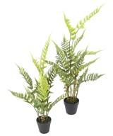 Artificial WOOD FERN