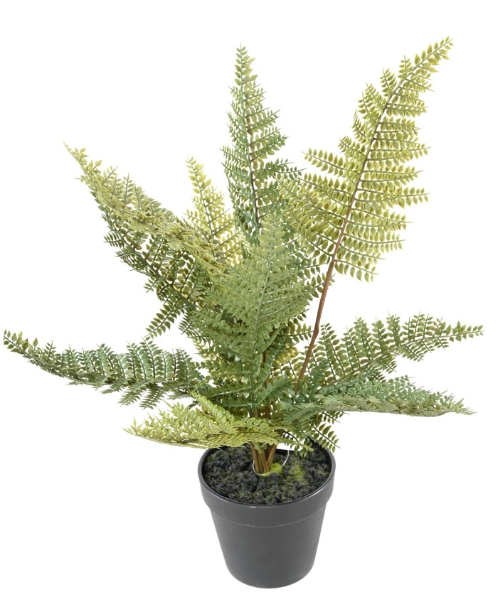 Artificial FERN POT