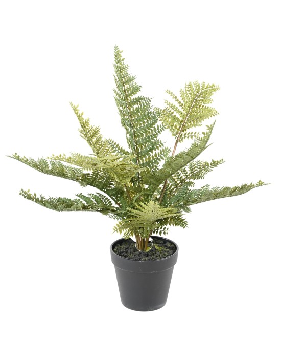 Artificial FERN POT