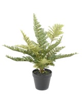 Artificial FERN POT