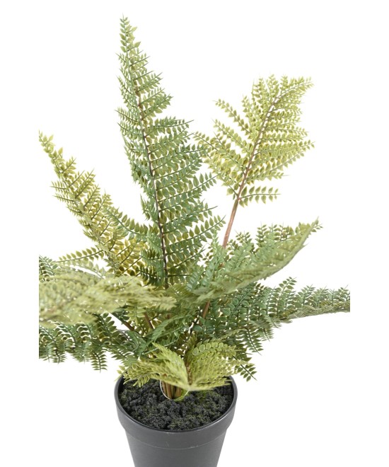 Artificial FERN POT