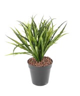 Artificial GRASS