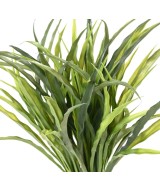Artificial GRASS
