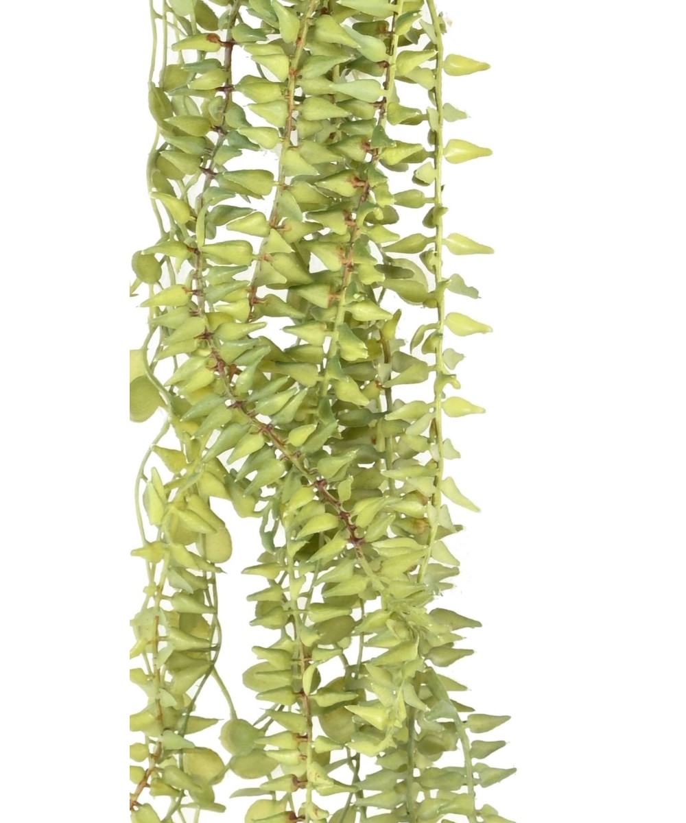 Artificial VARIEGATED PLANT HANGING BUSH