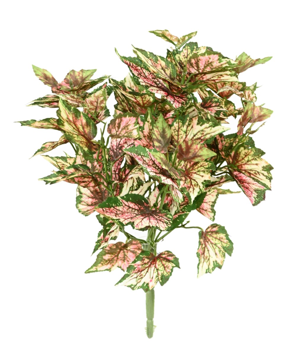 Kunstlik BEGONIA REX