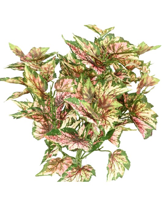 Kunstlik BEGONIA REX