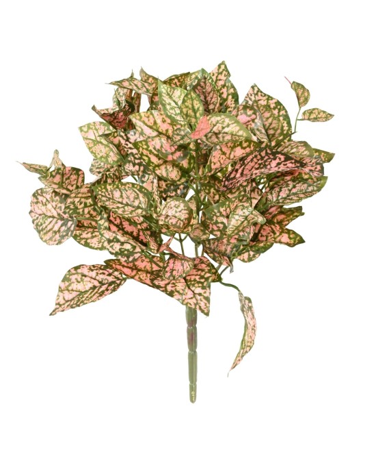 Artificial COLEUS