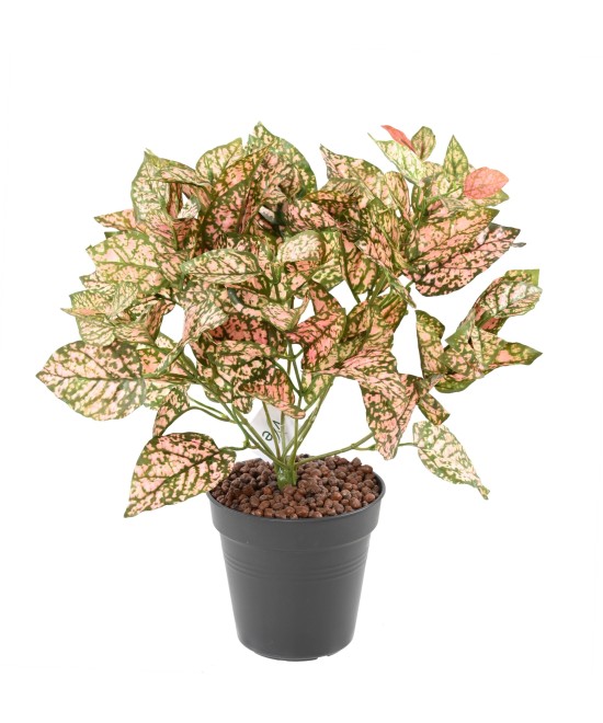 Artificial COLEUS