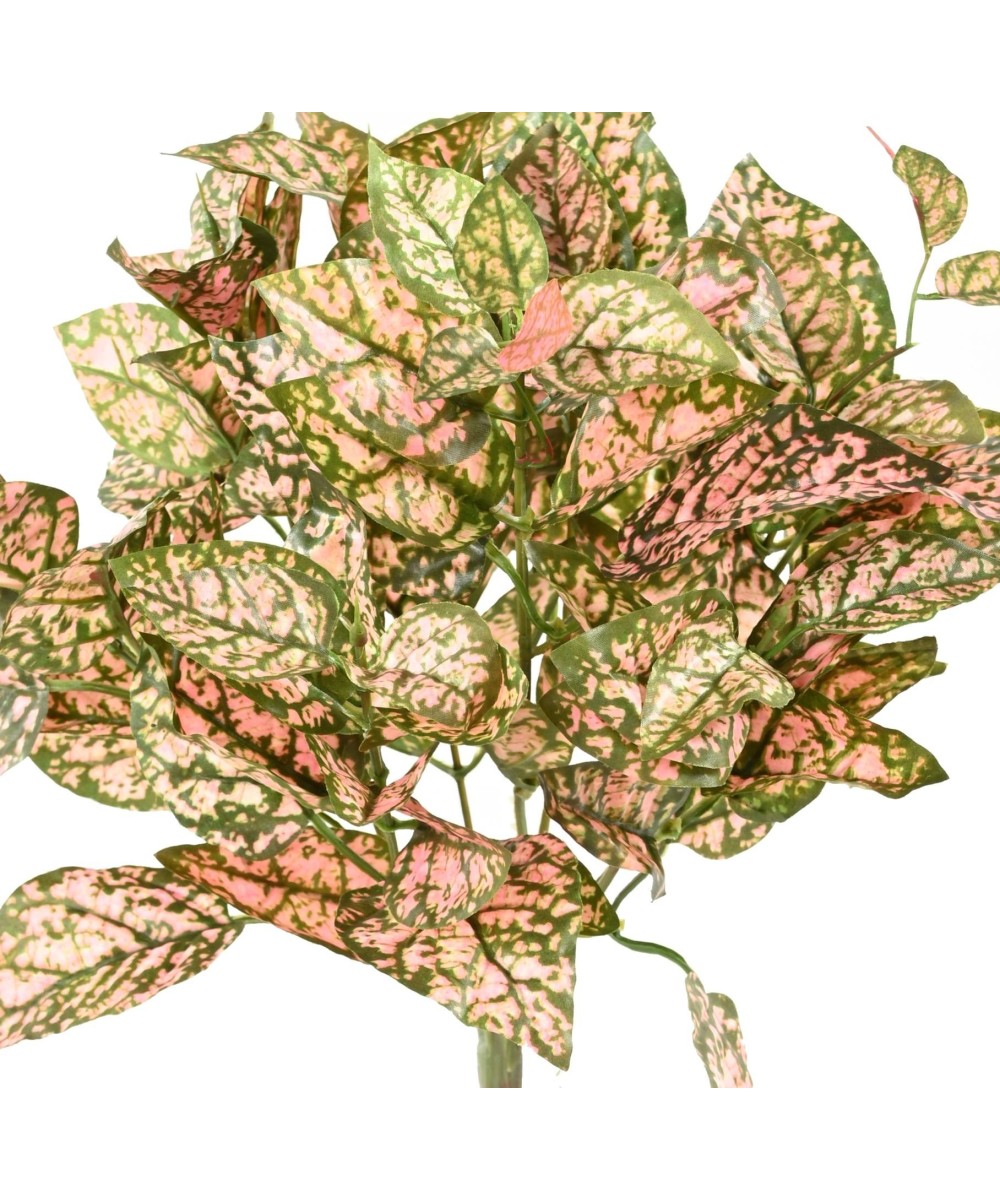 Artificial COLEUS